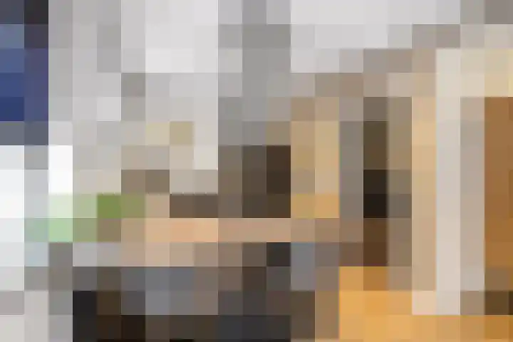 Horst 5 Gemert thumbnail 10