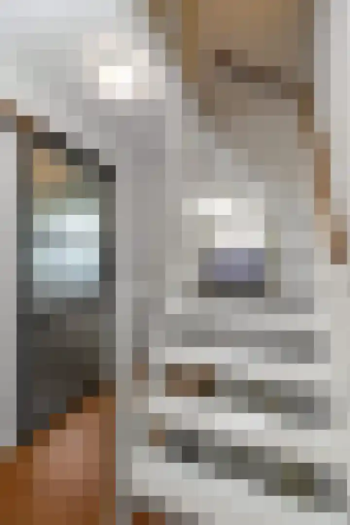Horst 5 Gemert thumbnail 12