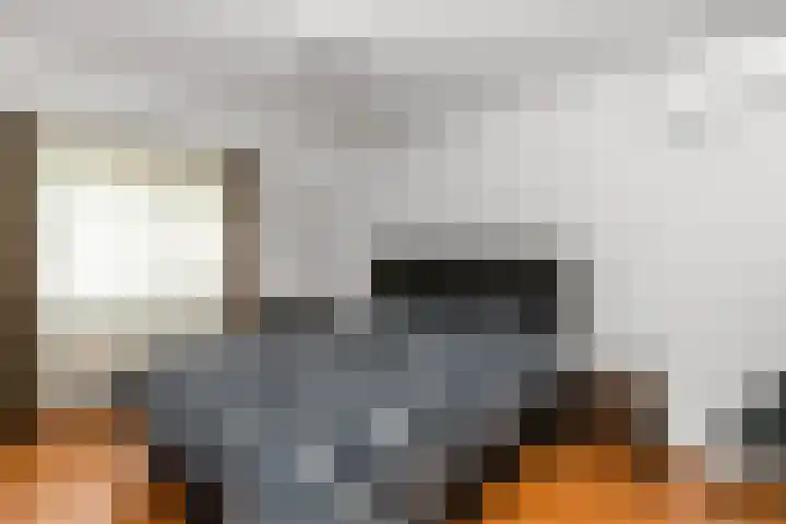 Horst 5 Gemert thumbnail 13