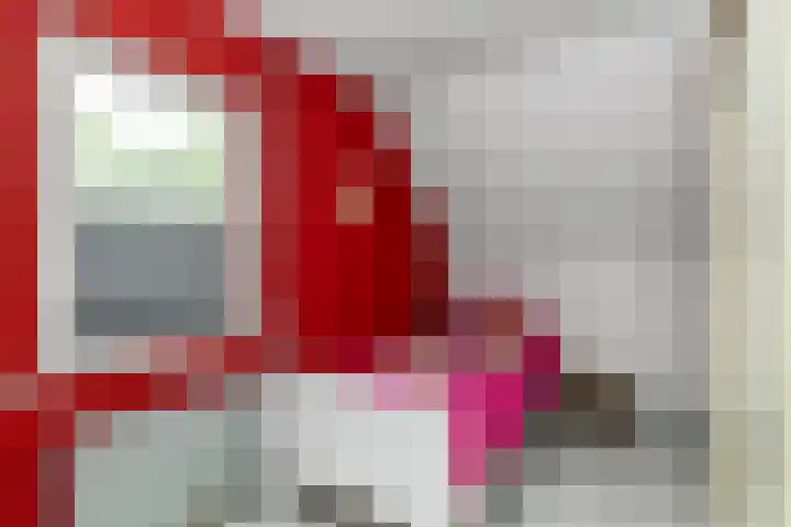 Horst 5 Gemert thumbnail 15