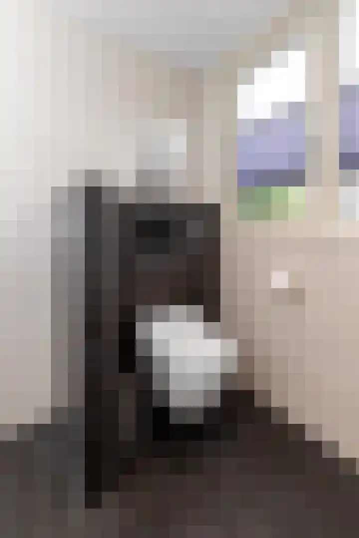 Horst 5 Gemert thumbnail 17