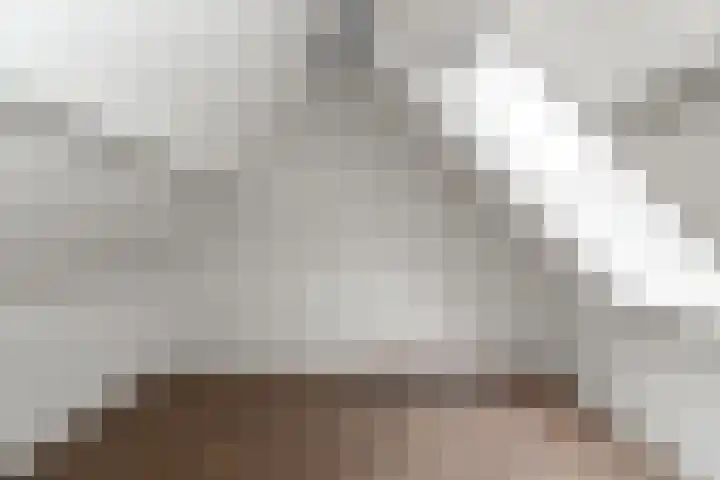 Horst 5 Gemert thumbnail 19