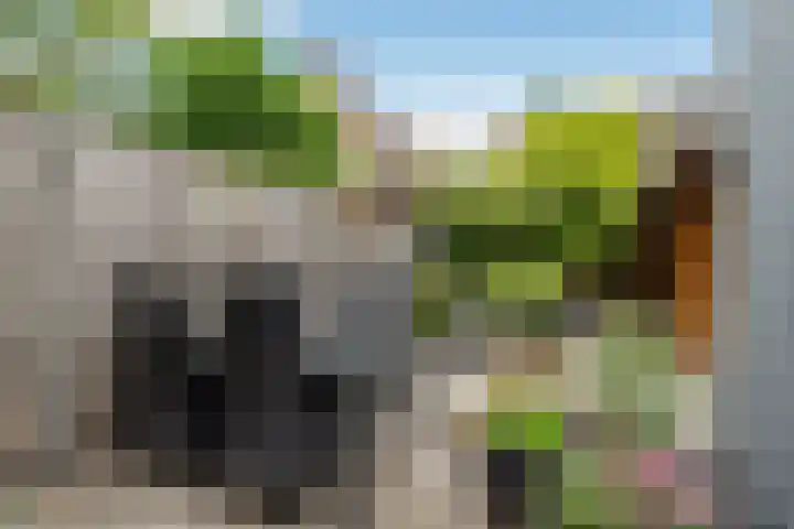 Horst 5 Gemert thumbnail 22