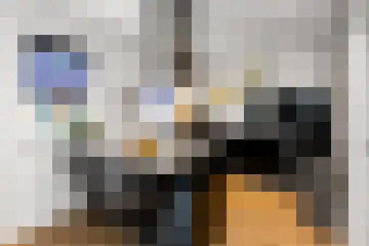 Horst 5 Gemert thumbnail 4