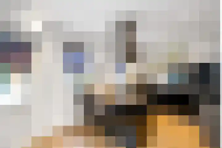 Horst 5 Gemert thumbnail 9