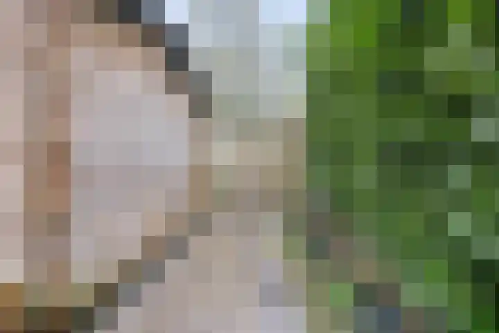 Horstacker 1377 Nijmegen thumbnail 24