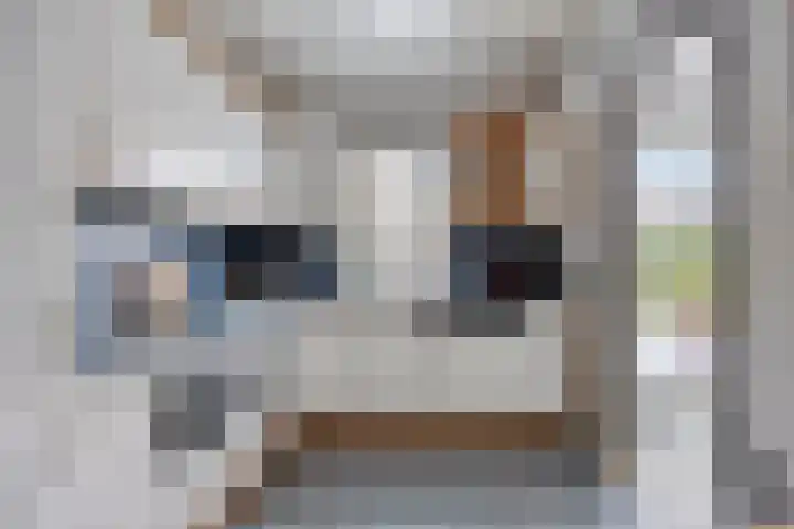 Horstacker 2309 Nijmegen thumbnail 10