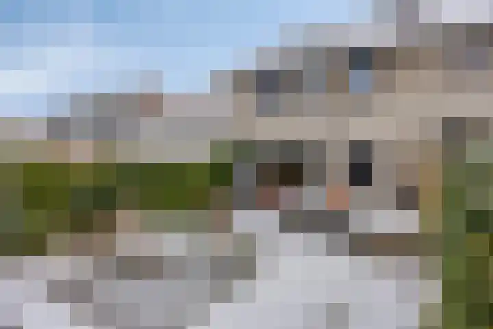 Horstacker 2309 Nijmegen thumbnail 28