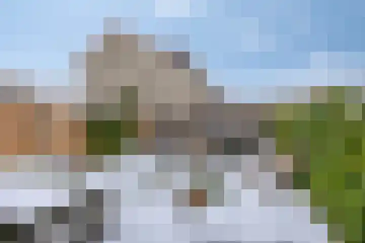 Horstacker 2309 Nijmegen thumbnail 29