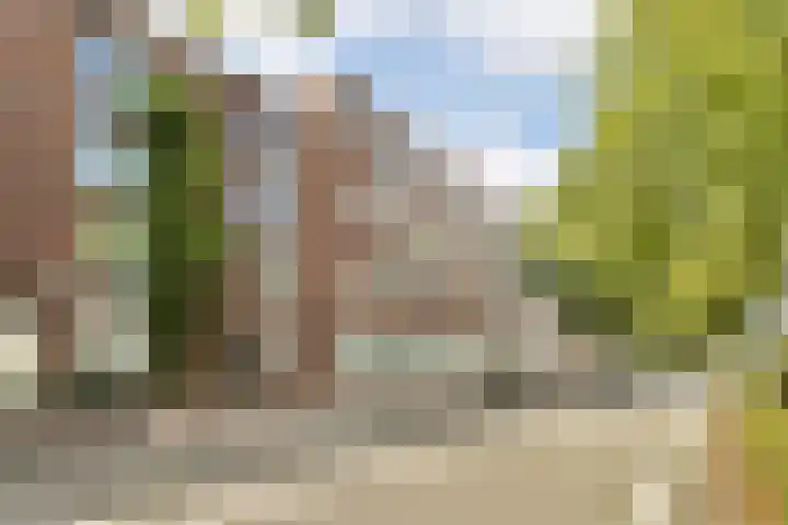 Horstacker 2309 Nijmegen thumbnail 5