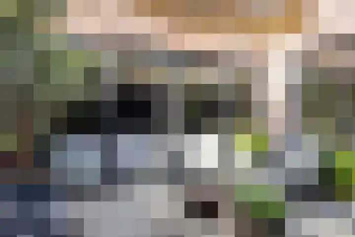 Horstakker 6 Erp thumbnail 27
