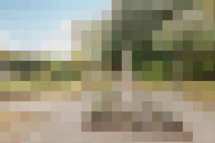 Horsterdijk 35 a Lottum thumbnail 32
