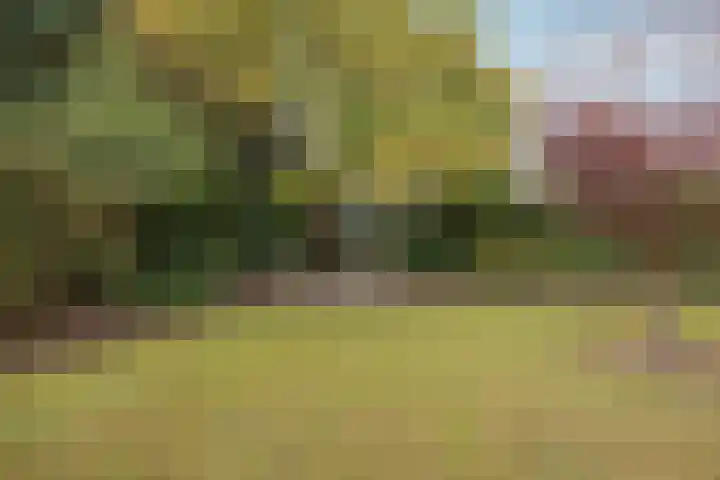 Horsterdijk 35 a Lottum thumbnail 34