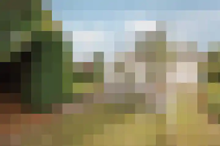 Horsterdijk 35 a Lottum thumbnail 35