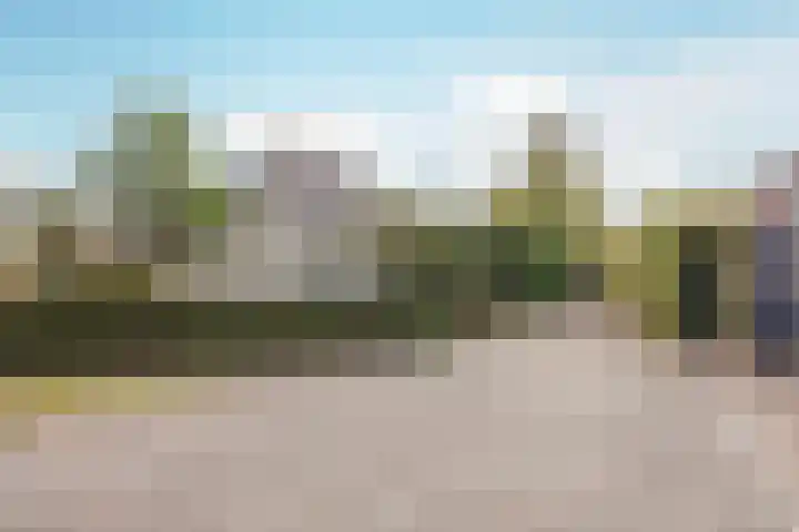 Horsterdijk 35 a Lottum thumbnail 40