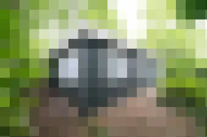 Horsterhof 18 Ermelo thumbnail 26
