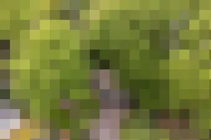 Horsterhof 18 Ermelo thumbnail 29