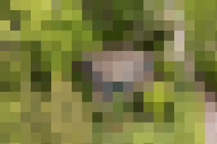 Horsterhof 18 Ermelo thumbnail 30