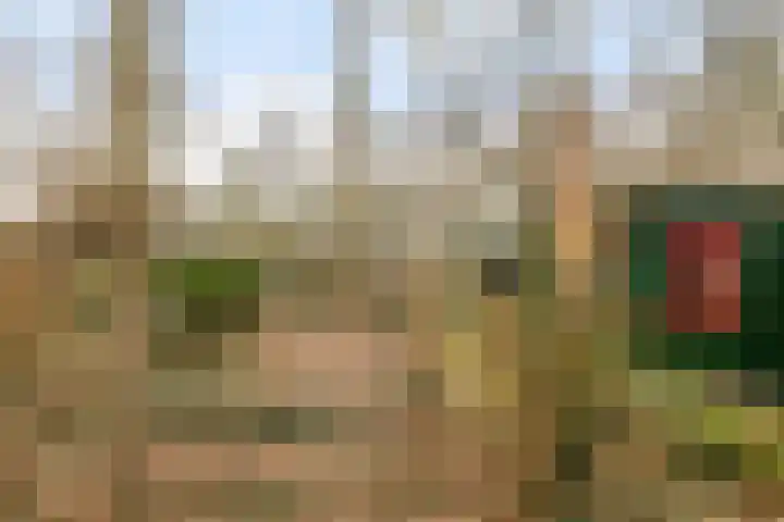Horsterhof 9 Ermelo thumbnail 35