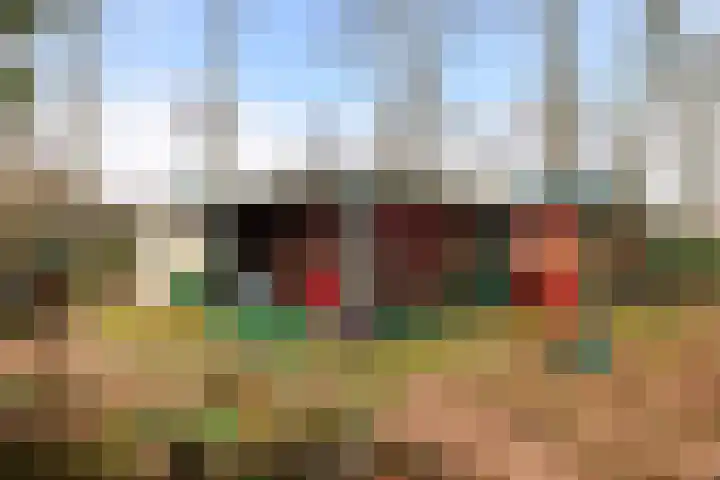 Horsterhof 9 Ermelo thumbnail 36