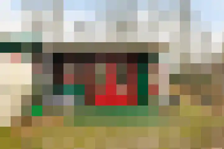 Horsterhof 9 Ermelo thumbnail 39