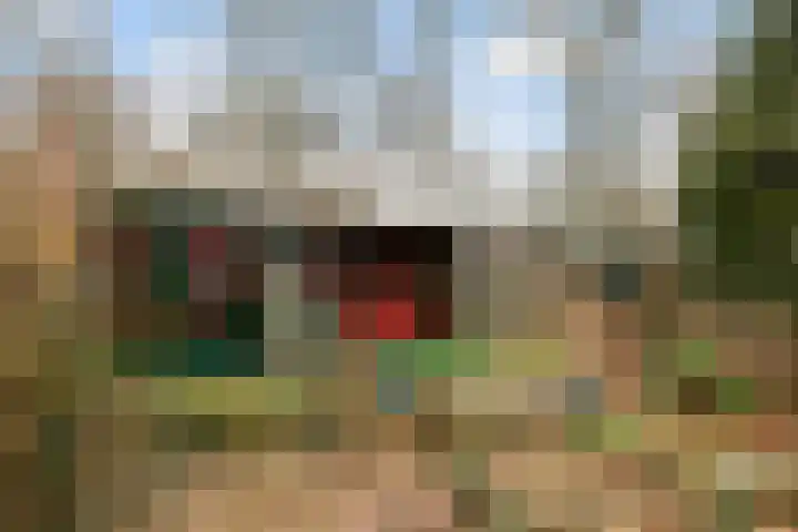 Horsterhof 9 Ermelo thumbnail 40