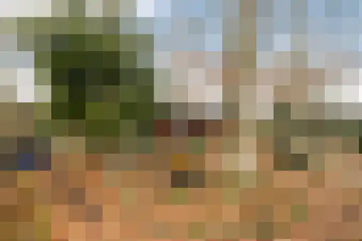 Horsterhof 9 Ermelo thumbnail 43