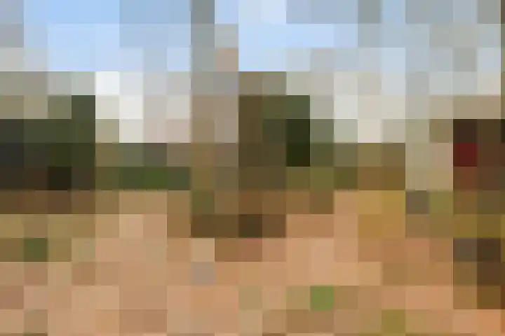 Horsterhof 9 Ermelo thumbnail 44