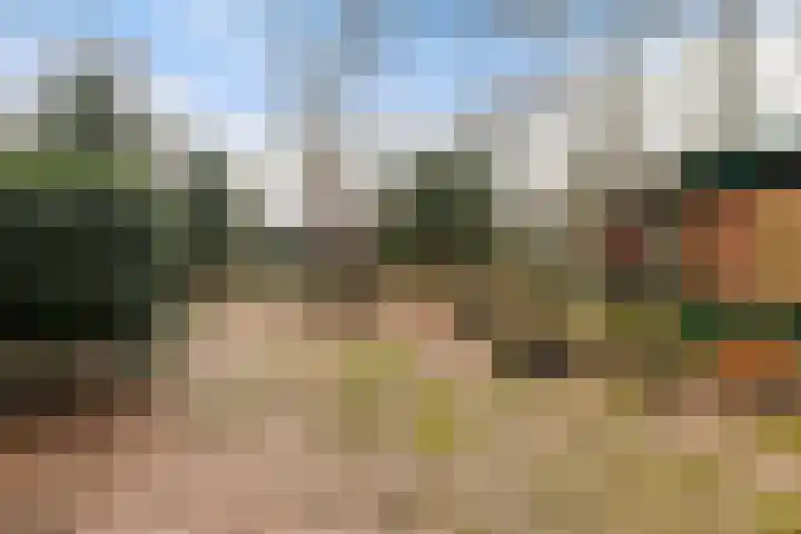 Horsterhof 9 Ermelo thumbnail 46