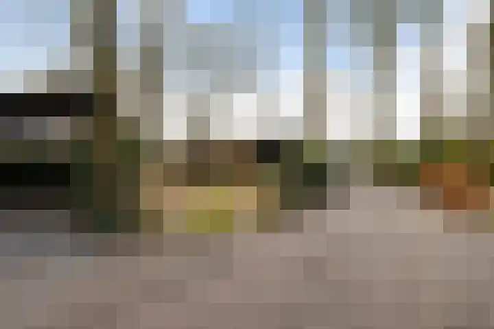 Horsterhof 9 Ermelo thumbnail 5