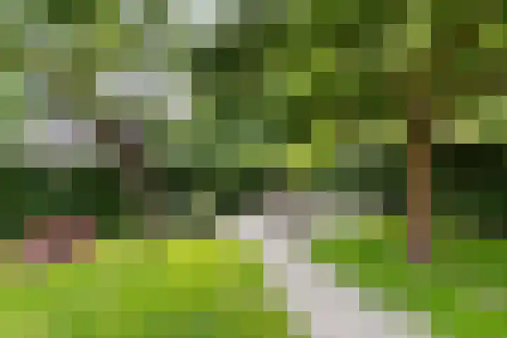 Horsterweg 215 Ermelo thumbnail 32