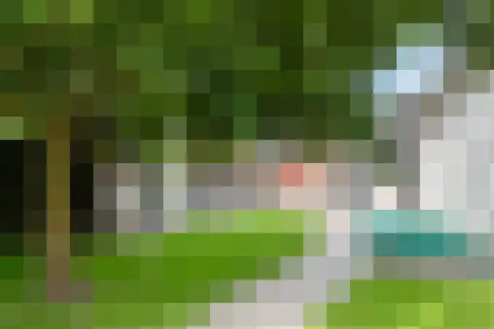 Horsterweg 215 Ermelo thumbnail 33
