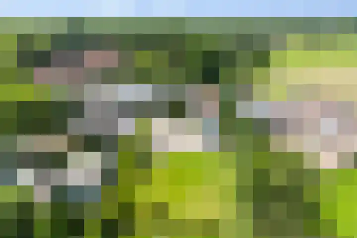 Horsterweg 215 Ermelo thumbnail 50