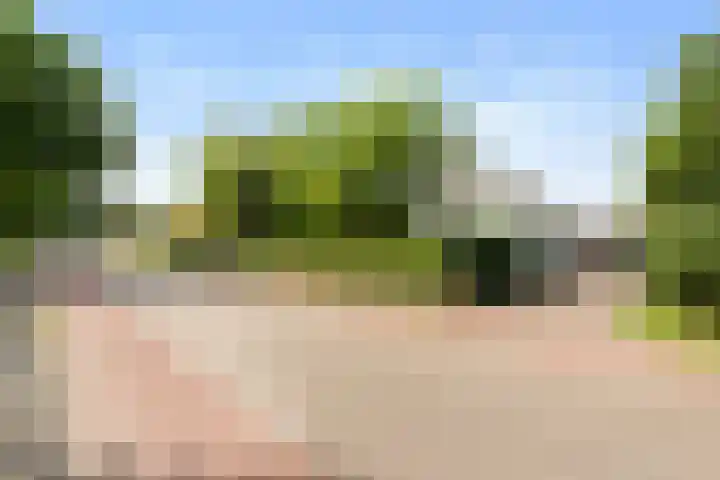 Horsterweg 215 Ermelo thumbnail 56