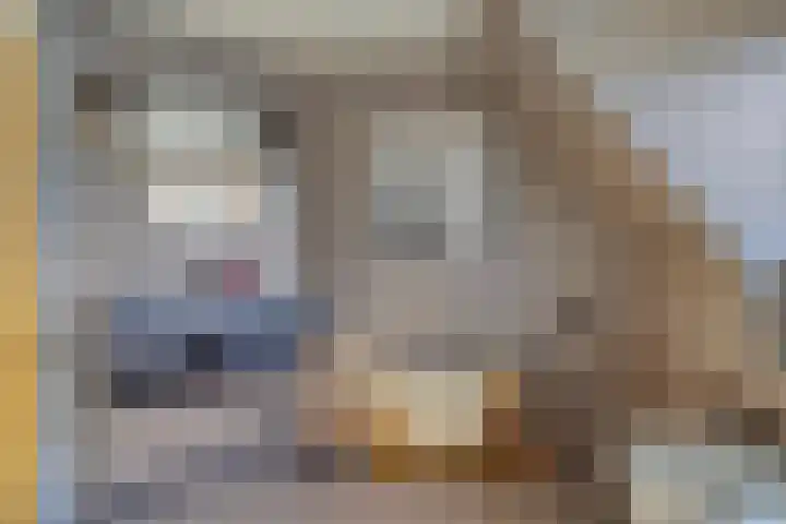 Horstlaan 3 Elsloo thumbnail 28