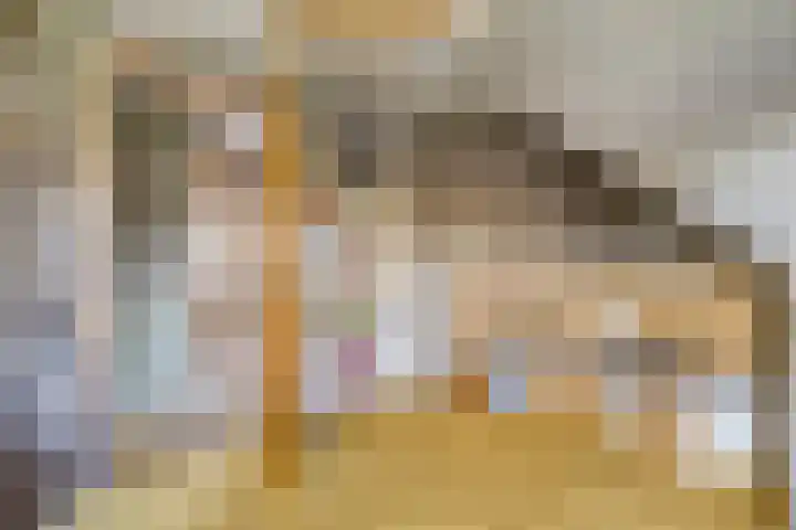 Horstlaan 3 Elsloo thumbnail 33