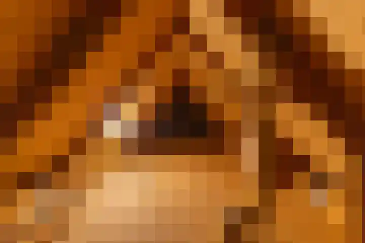 Horstlaan 3 Elsloo thumbnail 38