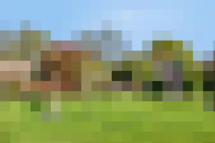 Horstlaan 3 Elsloo thumbnail 40