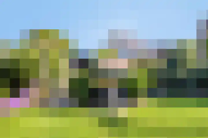 Horstlaan 3 Elsloo thumbnail 42