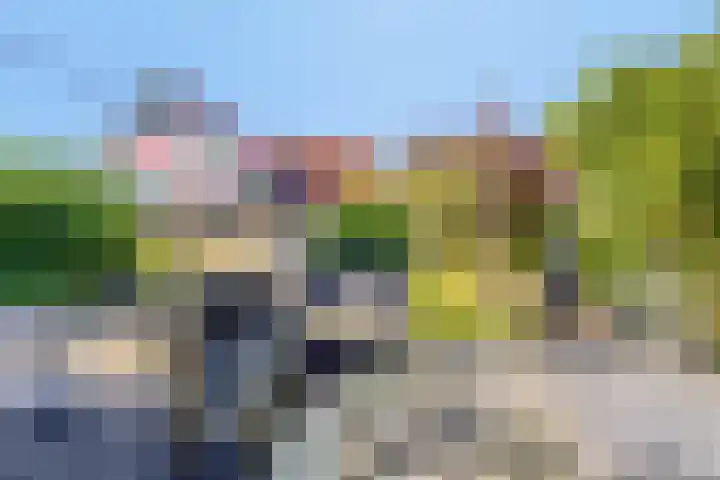 Horstlaan 3 Elsloo thumbnail 45