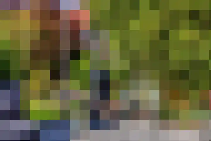 Horstlaan 3 Elsloo thumbnail 46