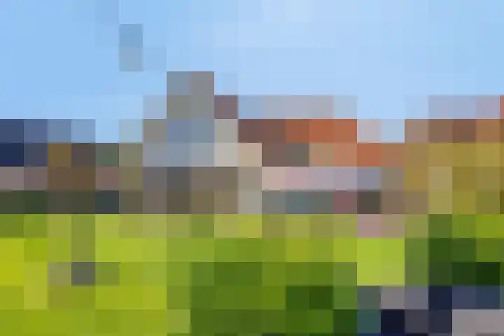 Horstlaan 3 Elsloo thumbnail 60