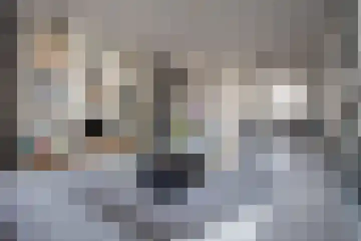 Horstveld 27 Heythuysen thumbnail 11