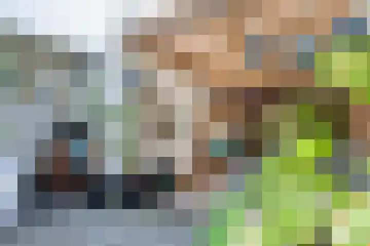 Horstveld 27 Heythuysen thumbnail 27