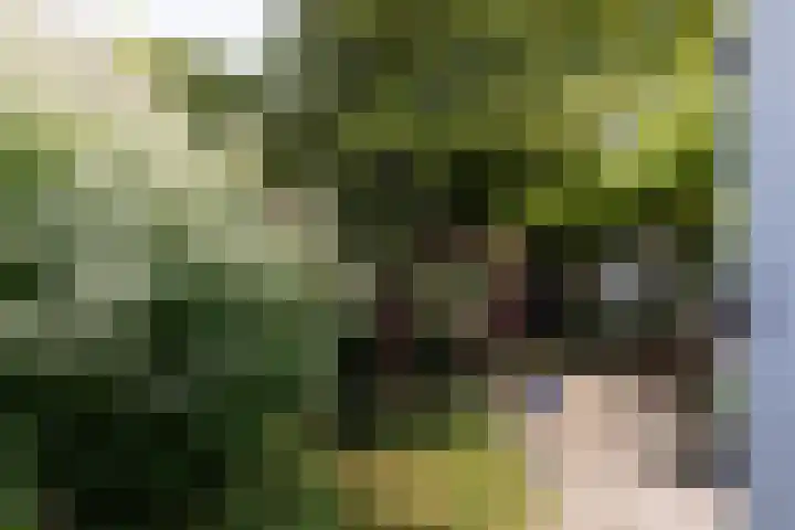 Horstweg 7 Parrega thumbnail 41