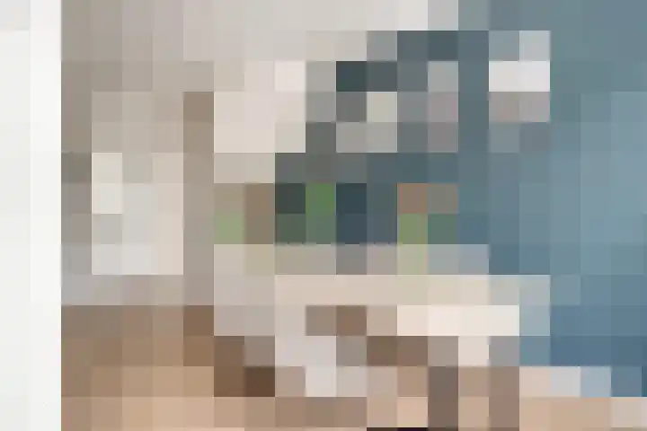 Horteler 7 Zevenaar thumbnail 11