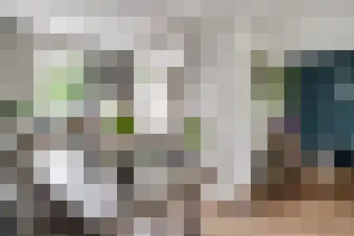 Horteler 7 Zevenaar thumbnail 12