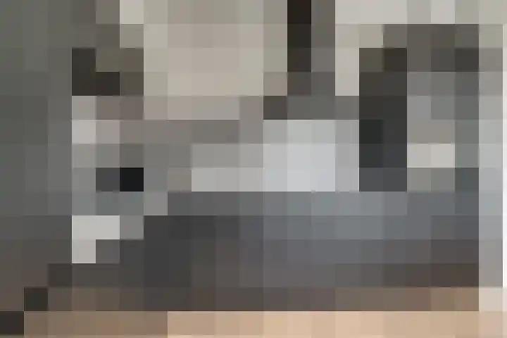 Horteler 7 Zevenaar thumbnail 15