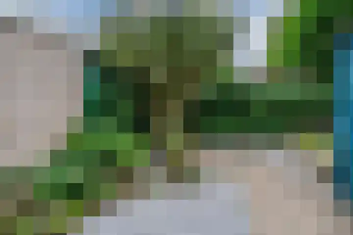 Horteler 7 Zevenaar thumbnail 25