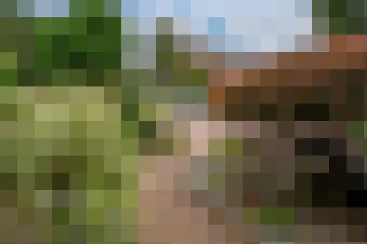Horteler 7 Zevenaar thumbnail 43
